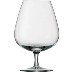 Degrenne Anytime Transparent